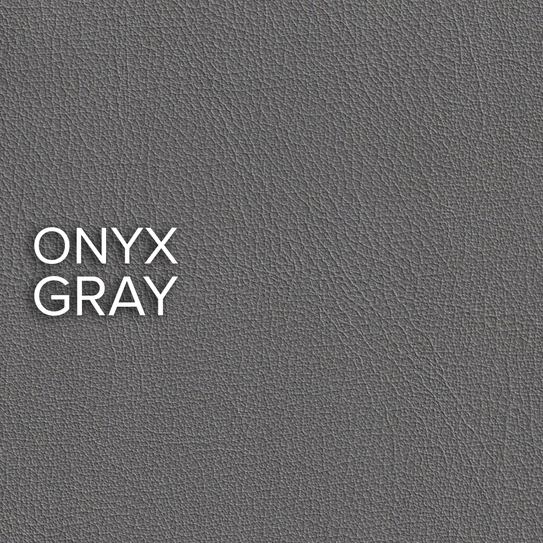 Lederfarbe Onyx Gray